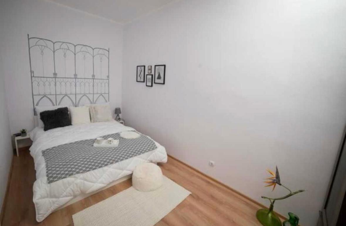Charming Apartament City Center Timişoara Extérieur photo