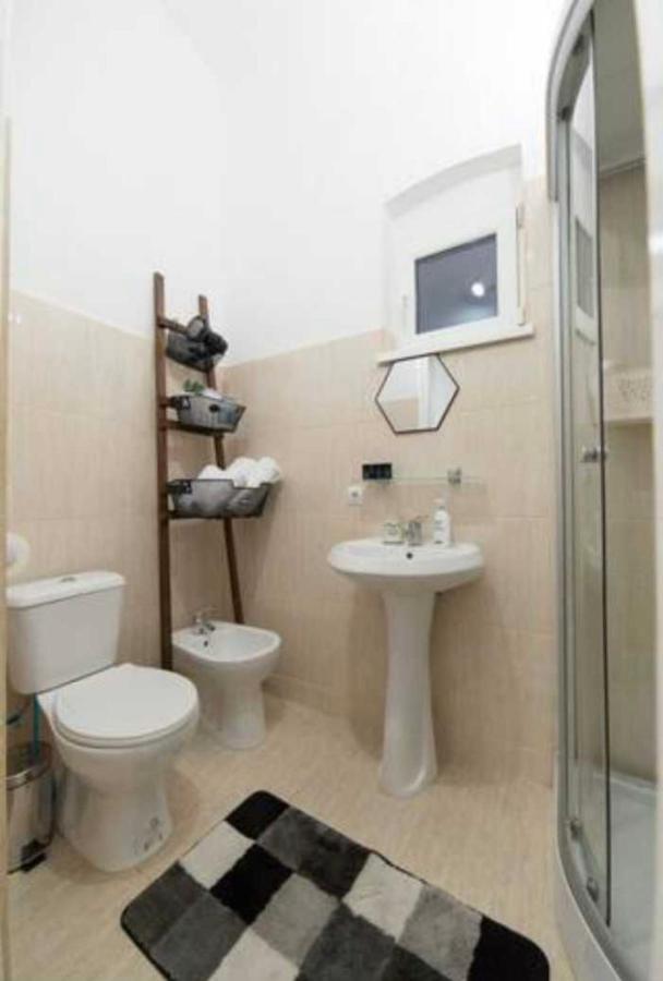 Charming Apartament City Center Timişoara Extérieur photo